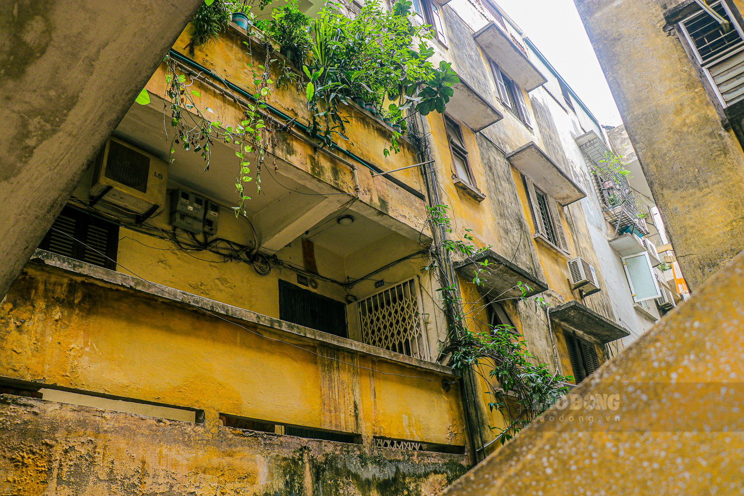 Màu vàng đặc trưng dùng để sơn tường các khu tập thể cũ thời bao cấp vẫn được duy trì qua hàng chục năm.