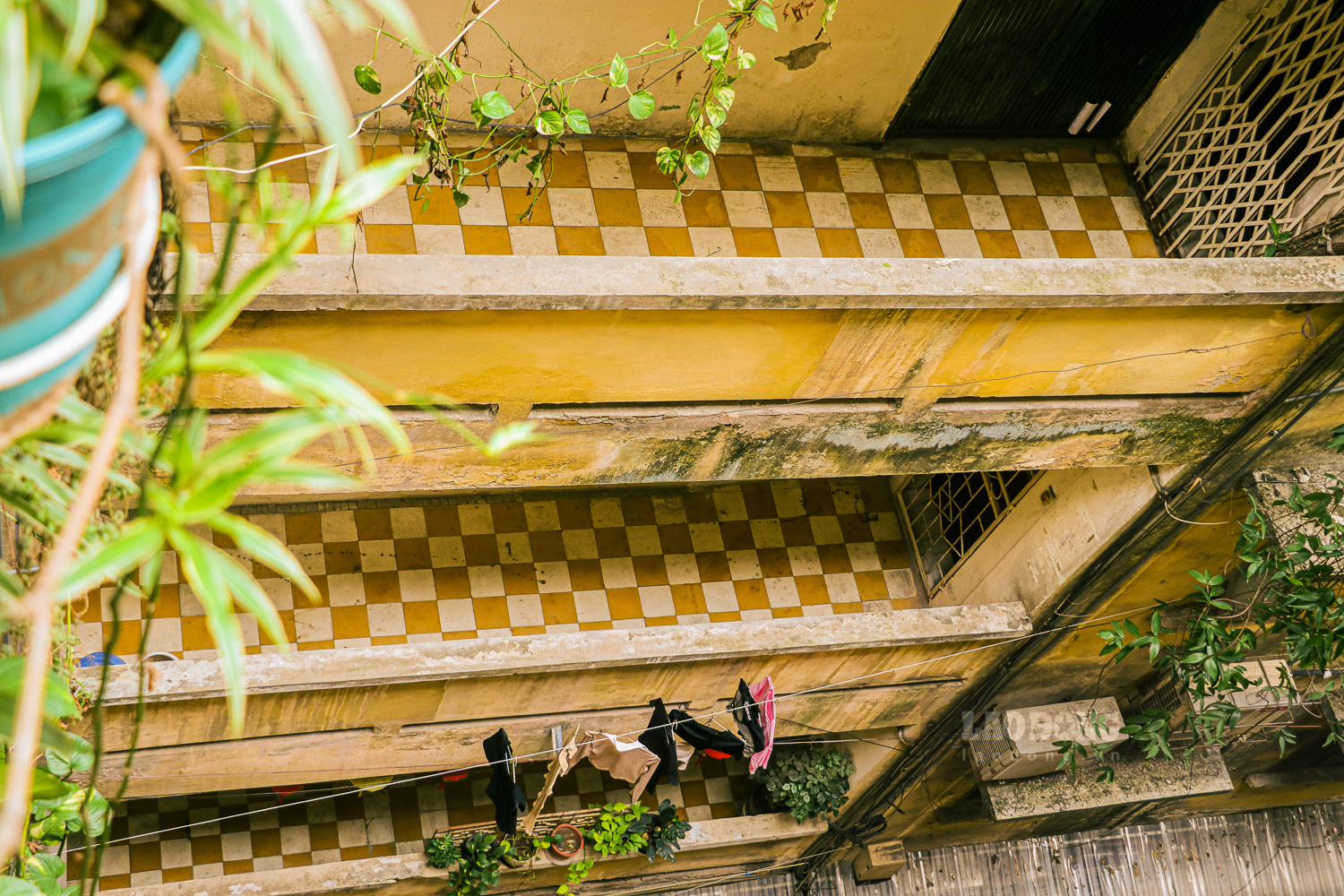 Những viên gạch bông cổ cam trắng vẫn hiện diện theo năm tháng. Từng là vật liệu phổ biến trong các công trình thời bao cấp, loại gạch gắn bó mật thiết với ký ức của nhiều thế hệ người Việt.