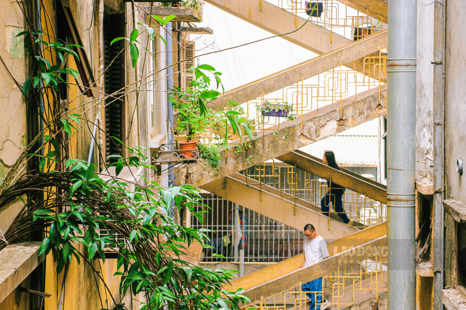 Những dãy nhà cao tầng với các dãy hành lang dài hun hút tại một tập thể cũ từ thời bao cấp ở phố Láng Hạ. Tại đây kiến trúc đặc trưng của các khu tập thể thời bao cấp vẫn được giữ gần như nguyên vẹn.