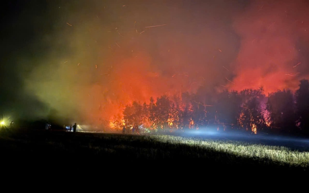 Las fuerzas durante la noche extinguen incendios forestales de melaleuca en la comuna de Co To. Foto: Comando Militar Comunal