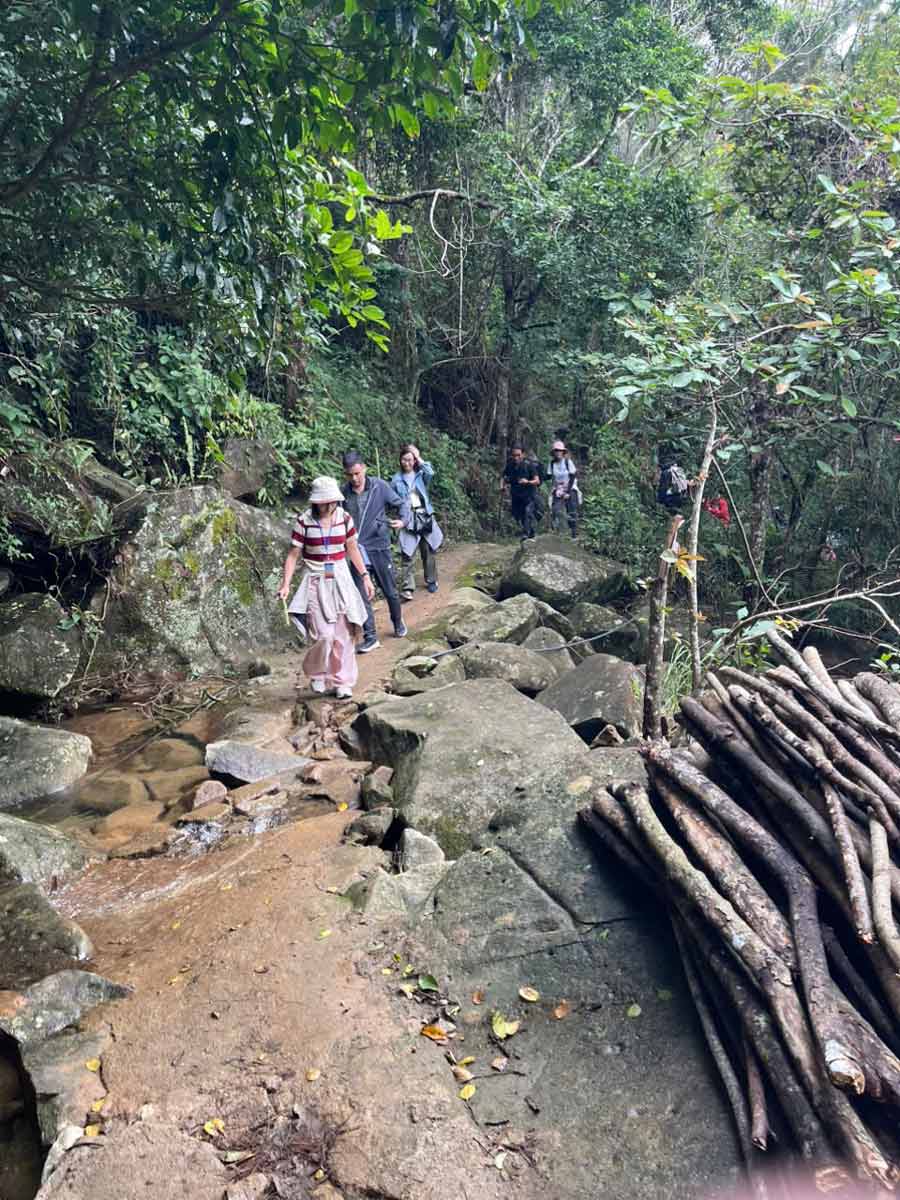 Một đoạn đường lên đỉnh Cao Xiêm. Ảnh: UBND xã Lục Hồn