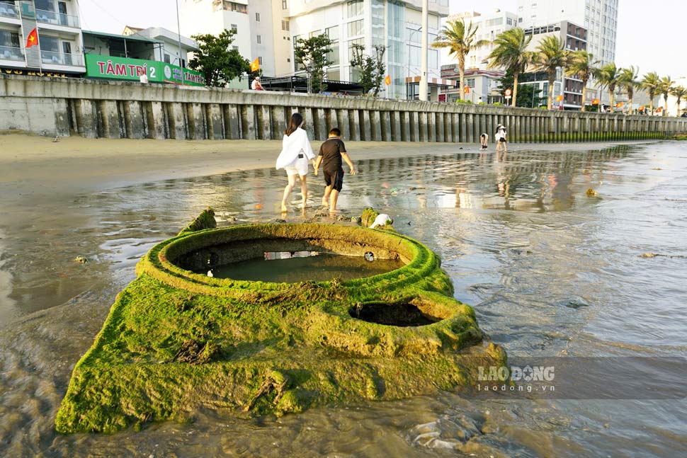 Sự việc do anh Lương Quốc Cường (31 tuổi, trú phường Quy Nhơn) phát hiện, chụp lại và đăng tải lên mạng xã hội. Các bức ảnh được chụp lại vào chiều 17.4. Ảnh: Hoài Phương