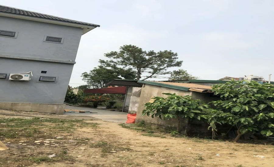 The land plot used by Mr. Tran Van Hoa's family (residing in Truong Vinh ward) from before 1980 to date has not been granted a red book. Photo: Quang Dai