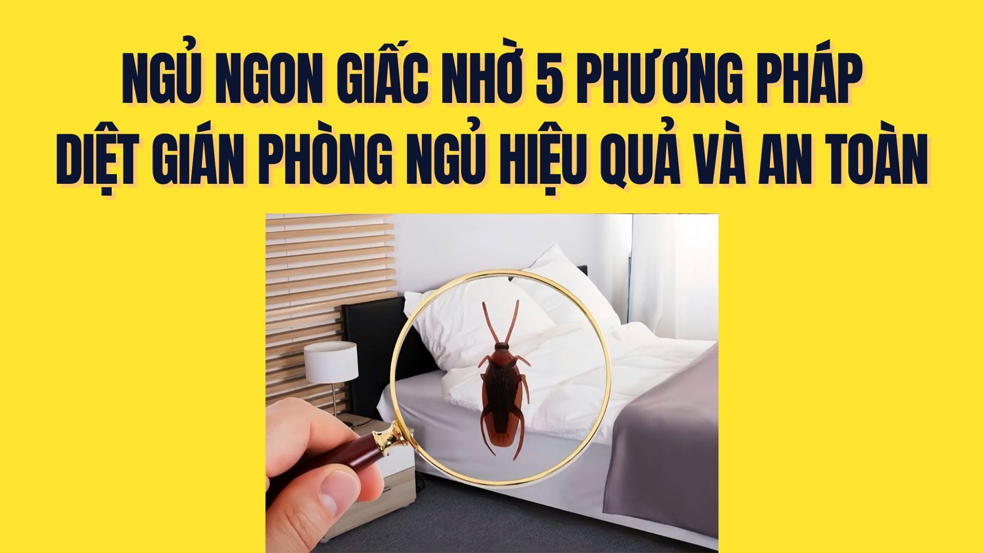 Dormez bien grâce à 5 méthodes efficaces et sûres pour tuer les cafards dans la chambre