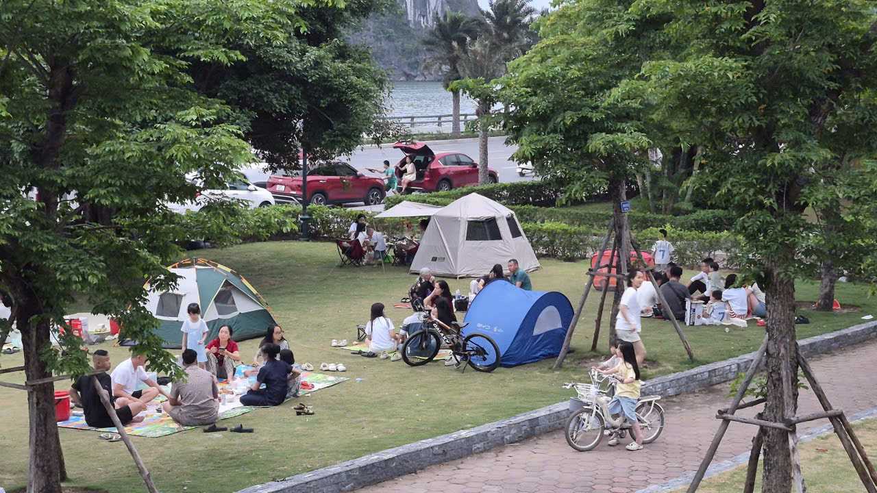 Những vị trí gần đường ven vịnh Hạ Long không còn chỗ trống. Ảnh: Nguyễn Hùng