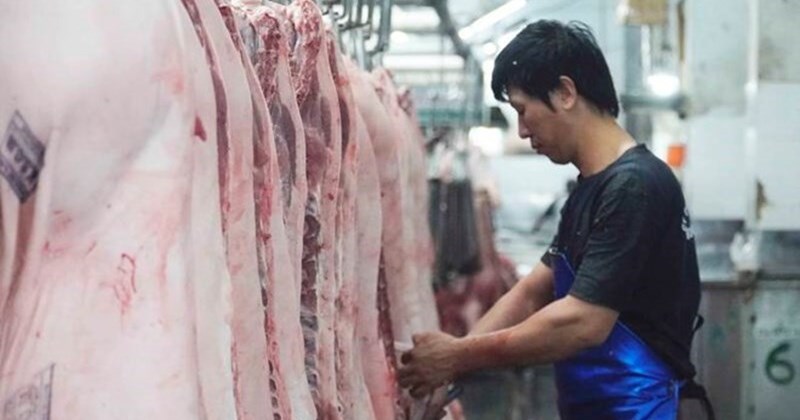 Giá heo hơi hôm nay 27/4: Ổn định ở 3 miền, thấp nhất 63.000 đồng/kg