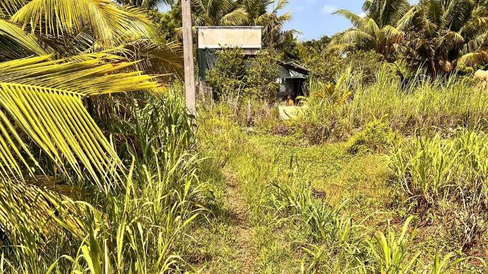 Lối mòn nhỏ dẫn vào căn nhà heo hút của gia đình ông Đậu, phải đi bộ gần 500m mới tới nơi. Ảnh: Hội LHPN xã Quới An