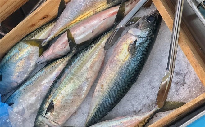 Các loại cá béo như cá hồi, cá thu chứa nhiều omega-3 giúp giảm mỡ máu và bảo vệ tim mạch. Ảnh: Bảo Quyên