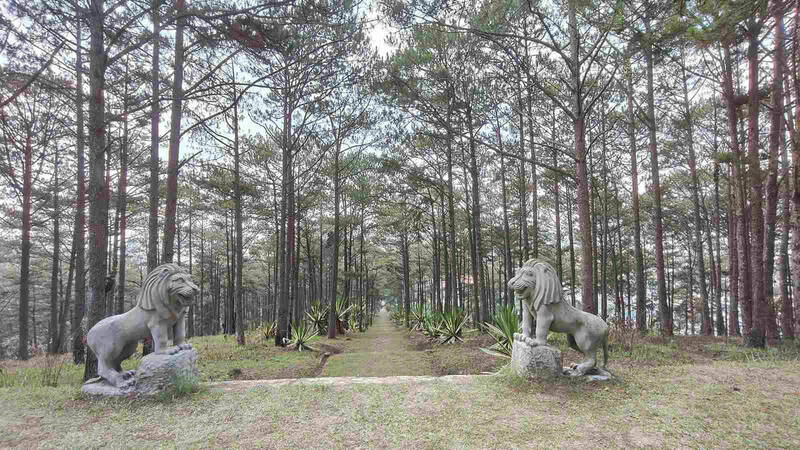 Sư tử đá canh giữ phía ngoài lăng mộ Quận công Nguyễn Hữu Hào. Ảnh: Phúc Khánh