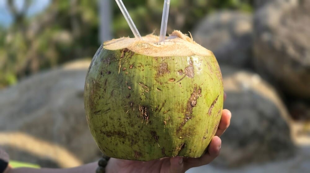 Coconut water when drunk properly will bring many good benefits to health, especially for people with stomach pain. Photo: Tuan Dat