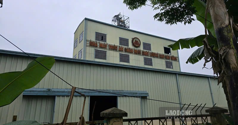 Bãi bỏ 5 thủ tục hành chính trong thành lập, sắp xếp doanh nghiệp nhà nước