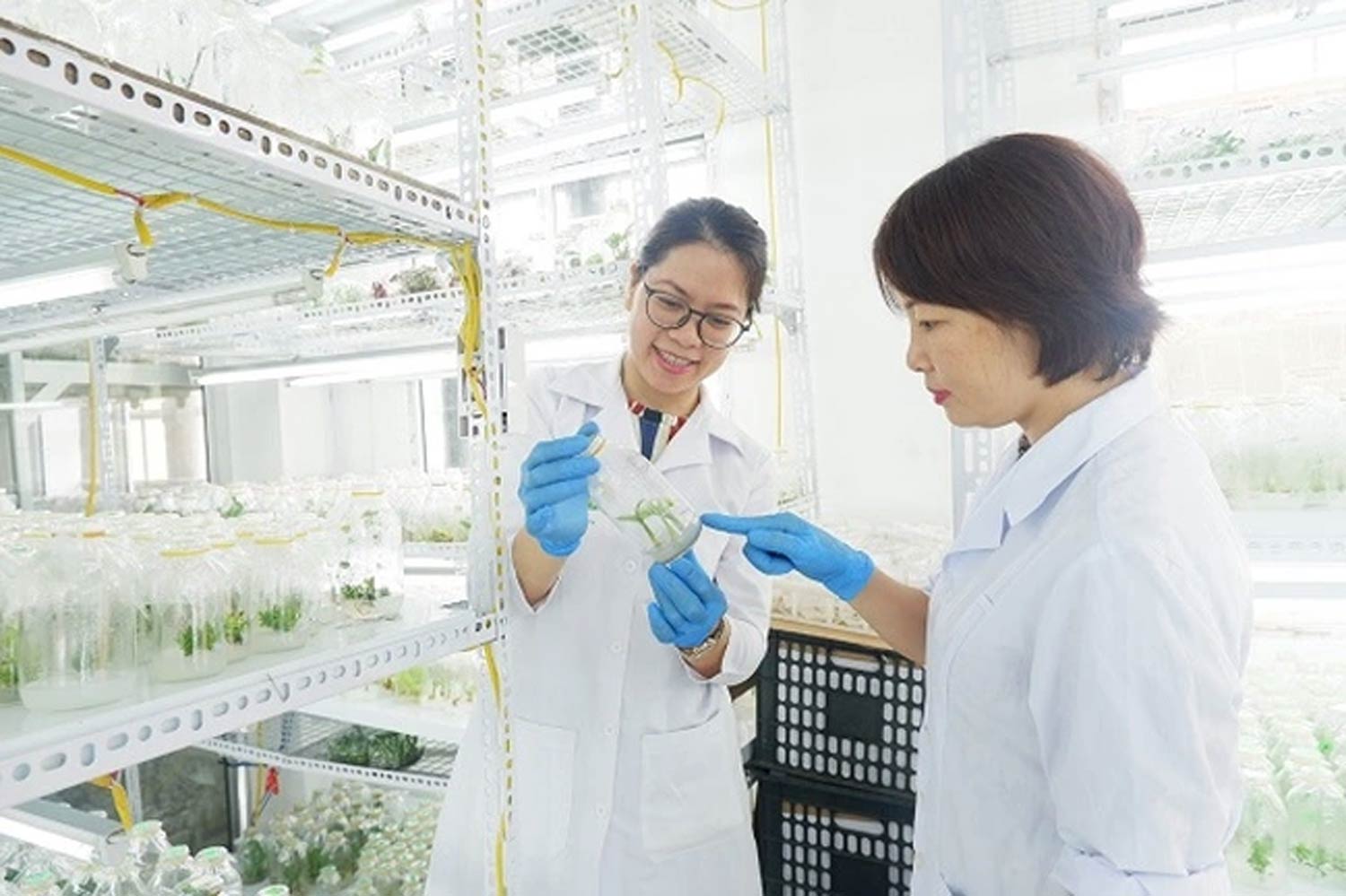 受験生は、バイオテクノロジー学科を参照して進学すべきです。写真:VNUA