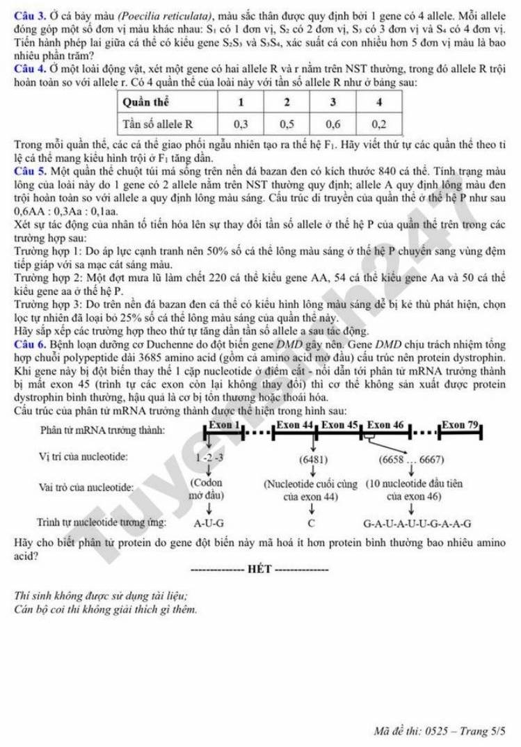 Đề thi thử tốt nghiệp THPT 2026 môn Sinh (đợt 2) - Sở GDĐT Nghệ An. Ảnh: Tuyensinh247
