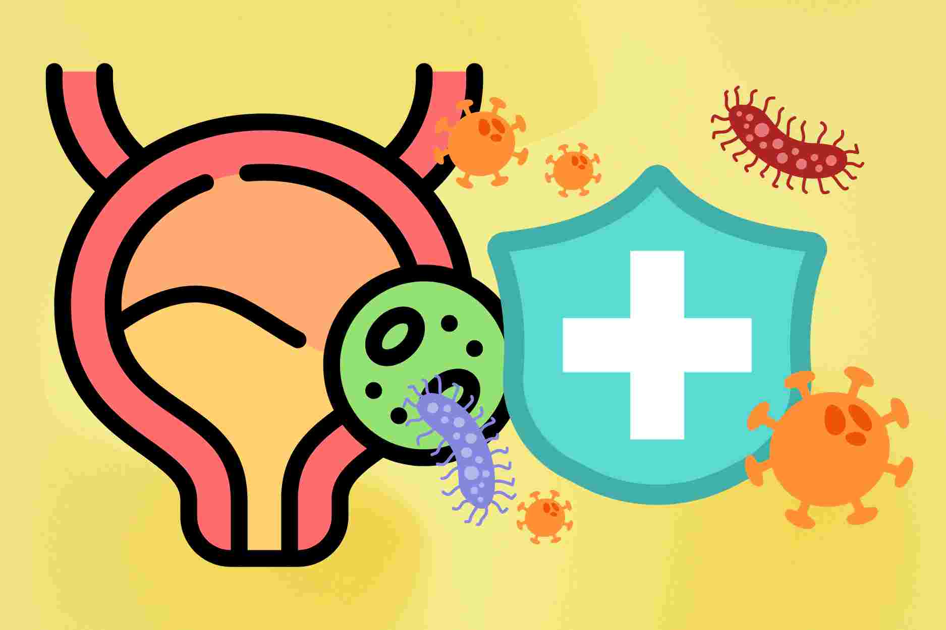 Foods good for the urinary tract help increase resistance and reduce inflammation effectively