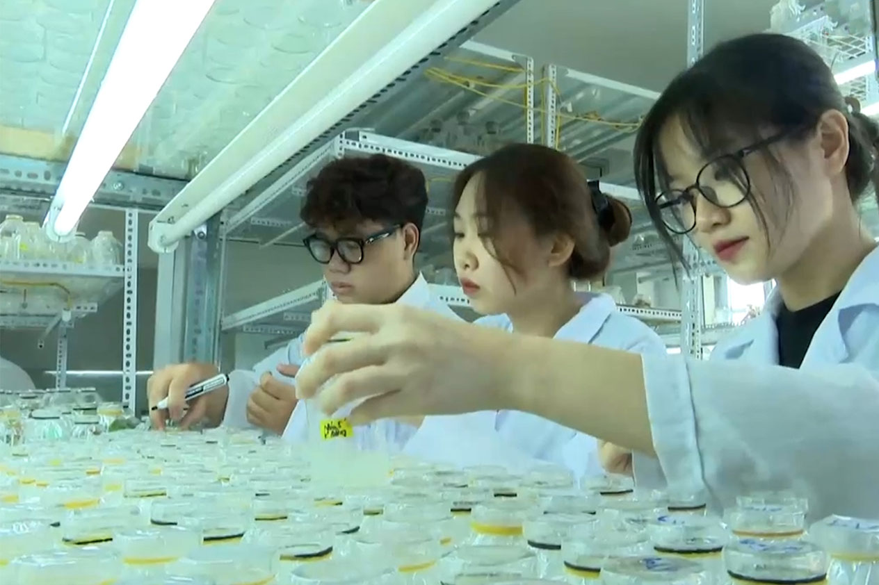 Cơ hội việc làm của ngành Công nghệ sinh học rộng mở. Ảnh: Văn Thắng 