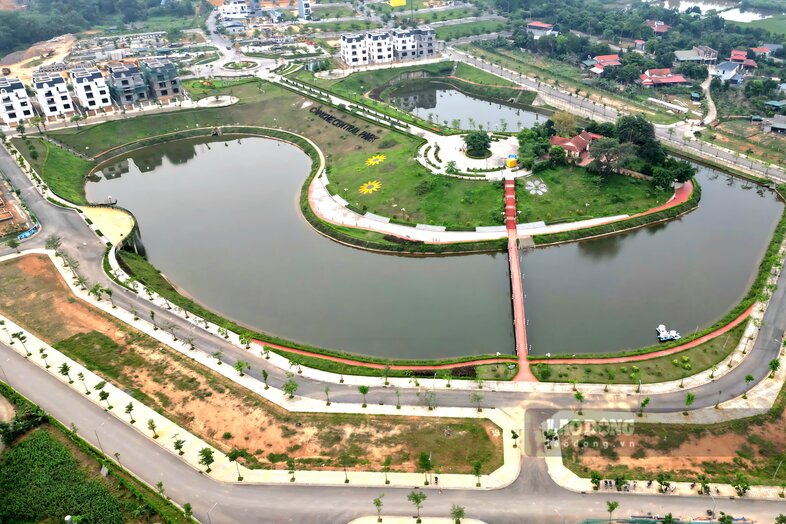 Hồ điều hòa rộng lớn trong dự án. Ảnh: Tô Công