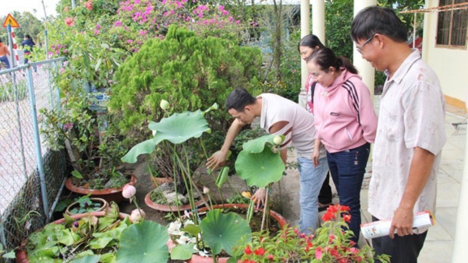 People participate in environmental sanitation, killing larvae to prevent dengue fever. Photo: Hoang Loc