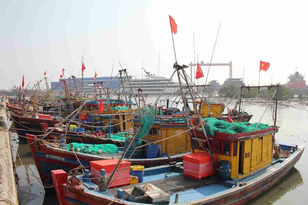 Cảng cá Tân Sơn, nơi tàu thuyền ngư dân ra vào tấp nập sau mỗi chuyến biển. Ảnh: MAI HƯƠNG