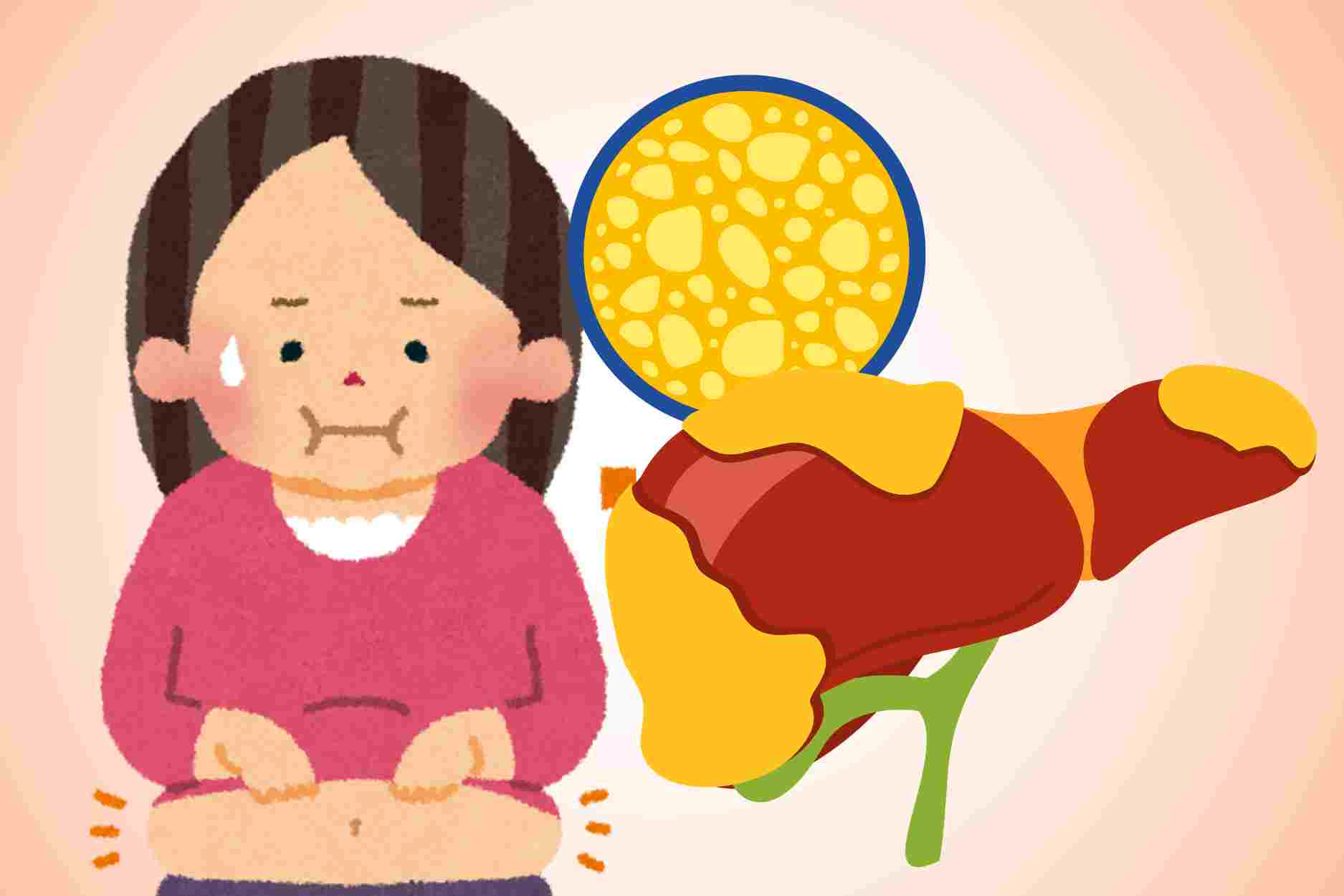 Belly fat not only affects figure but also harms the liver