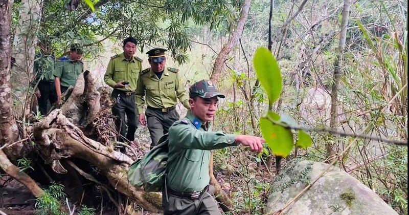 Quảng Trị: Tăng cường tuần tra, phòng cháy rừng mùa khô