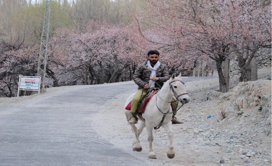 Mùa Xuân tại Pakistan. Ảnh: Huyền Linh