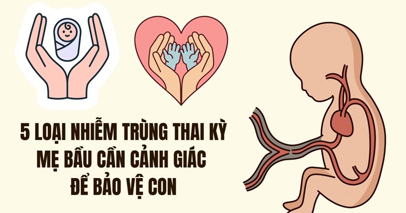 5 bệnh nhiễm trùng thai kỳ mẹ bầu cần đề phòng để bảo vệ con