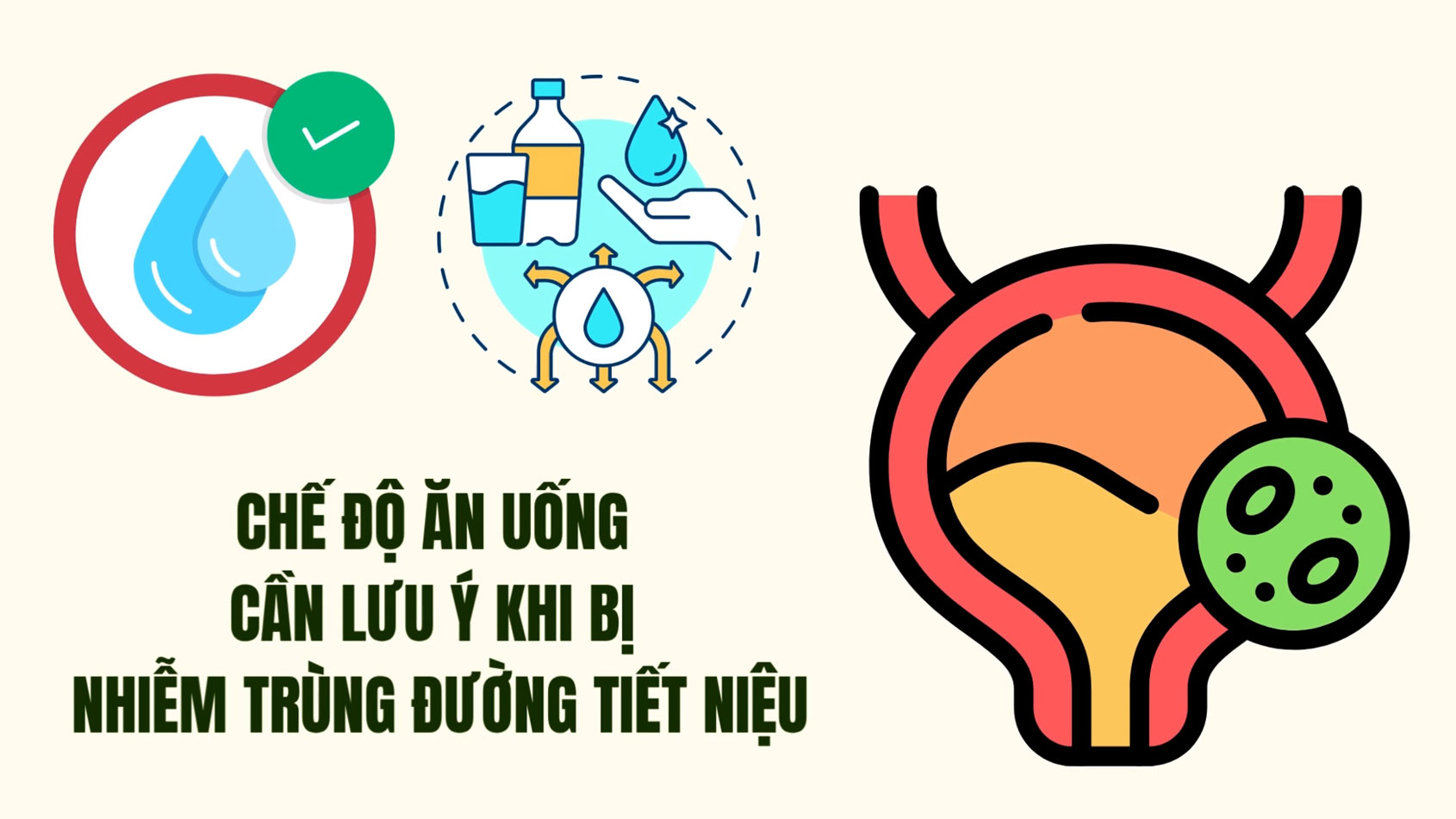 Adjusting eating habits will support the treatment of urinary tract infections more effectively.