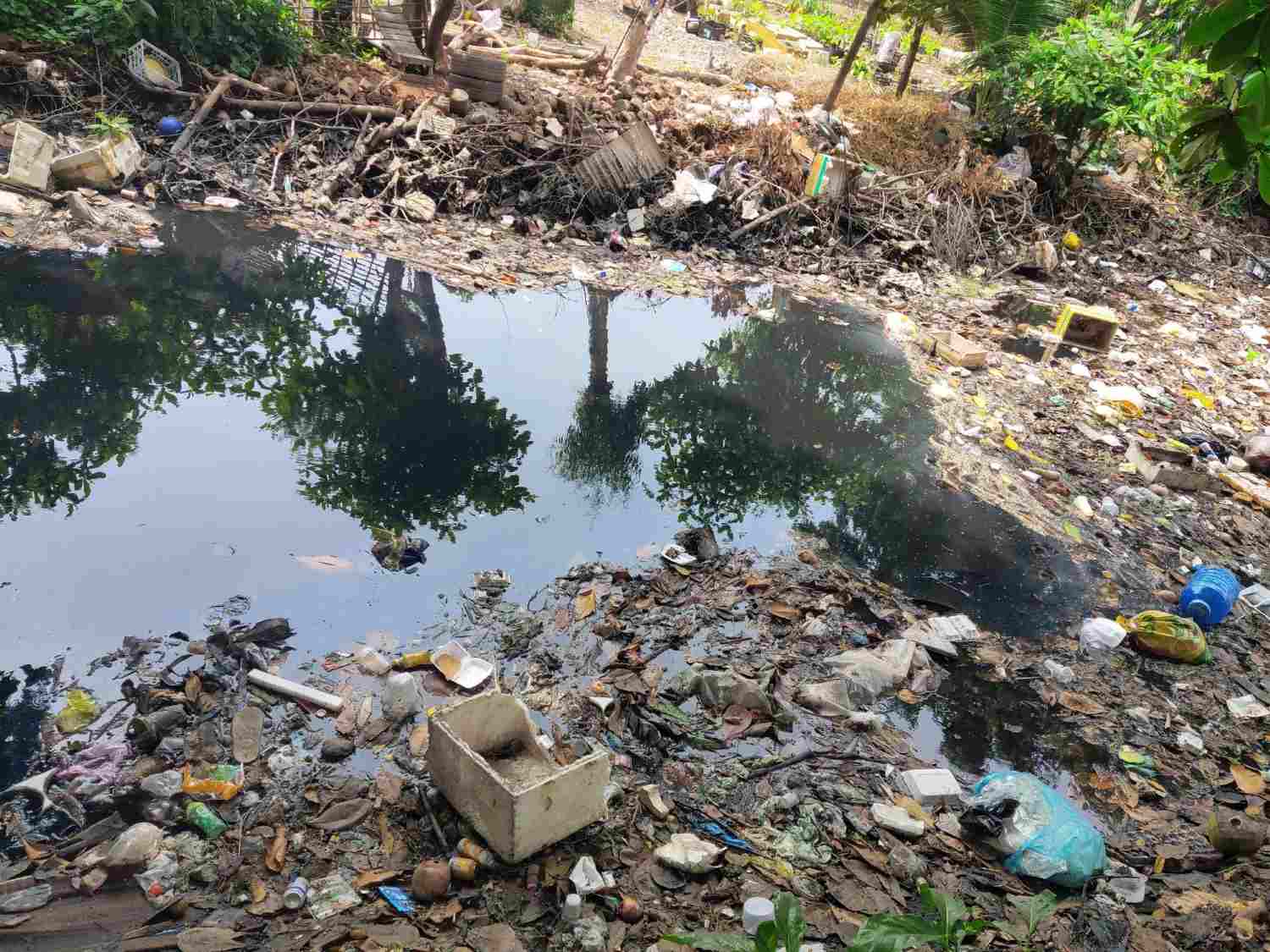 Chin Xieng canal (An Nhon ward, Ho Chi Minh City) is polluted, garbage floats. Photo: Phan Thu Hoai
