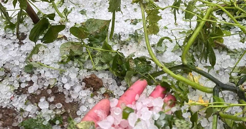Rocky rain covers hills in Pu Nhi commune, Dien Bien province