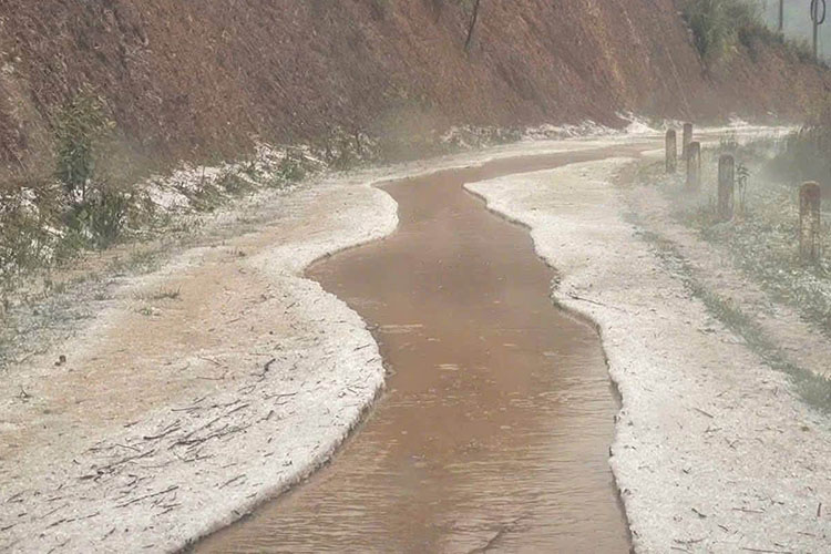 Held rain appeared in Pu Nhi commune, Dien Bien province in the late afternoon of April 28. Photo: Pu Nhi commune