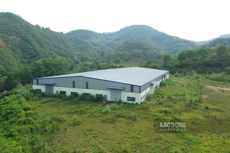 Dự án nông nghiệp công nghệ cao tại xã Bảo Thắng, tỉnh Lào Cai được cấp phép hơn chục năm nhưng hiệu quả mờ nhạt. Ảnh: Đinh Đại