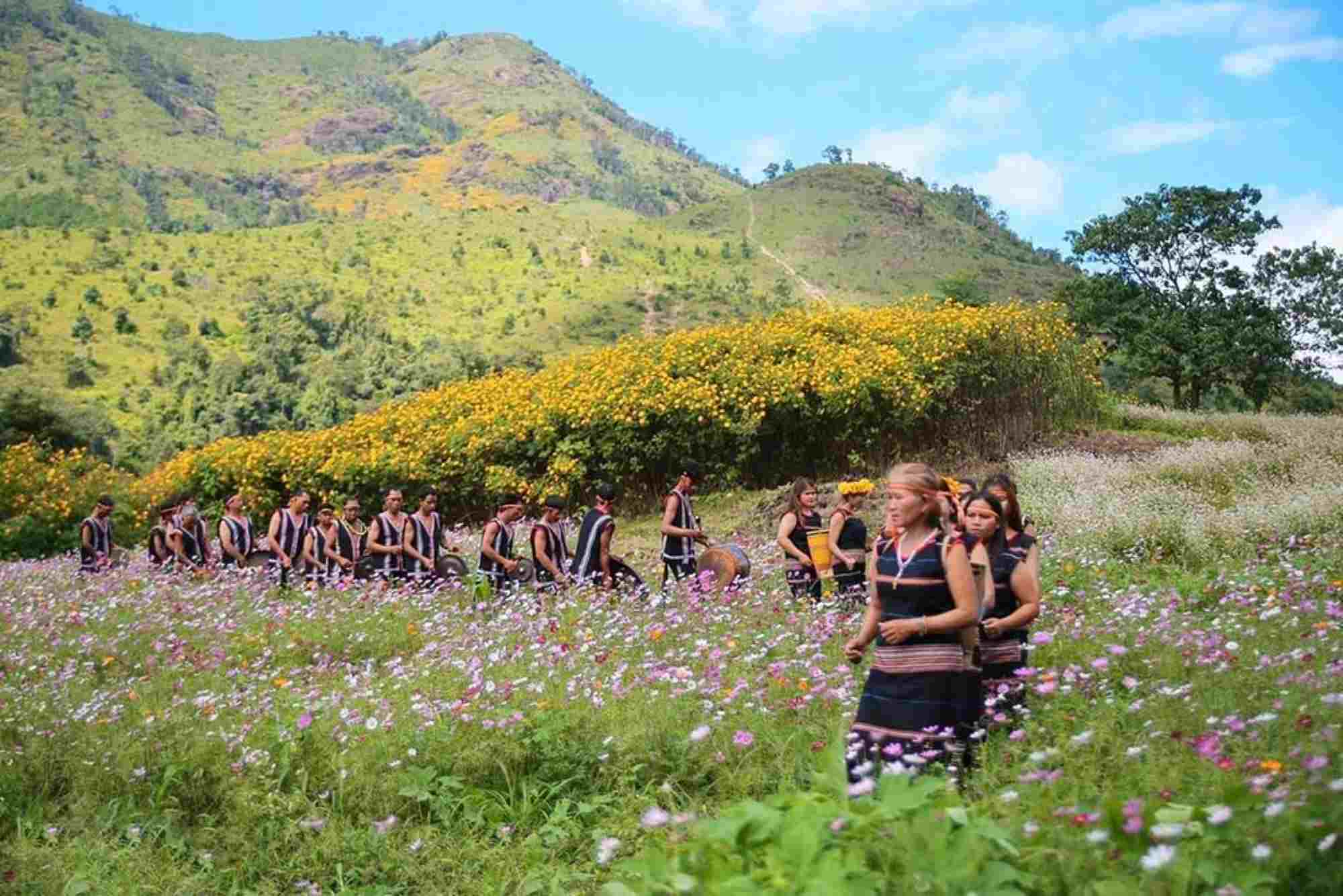 Festival season, wild sunflower season on Gia Lai plateau. Photo: THANH TUAN
