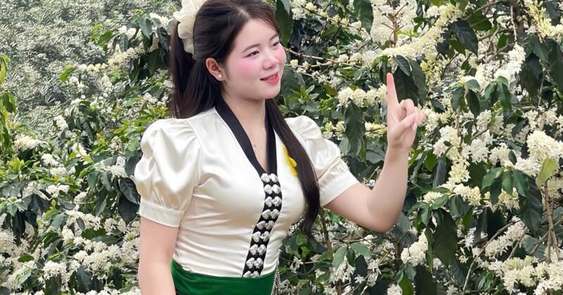 Sơn La: Hoa cà phê nở trắng sườn đồi sau mưa đầu mùa