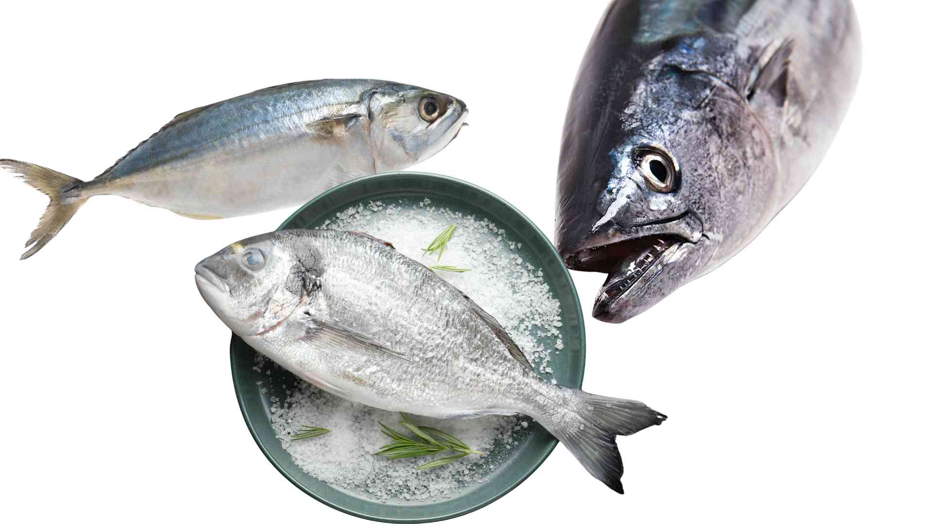 Vitamin D plays an essential role in calcium absorption. Graphic photo: Huong Son