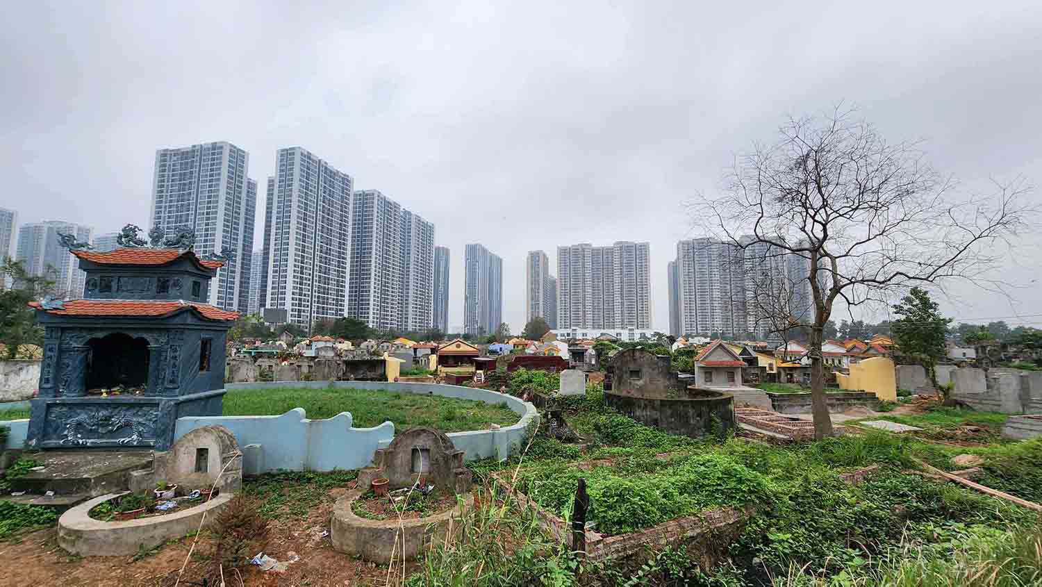 Nghĩa trang Tây Mỗ, Hà Nội. Ảnh: Người dân cung cấp