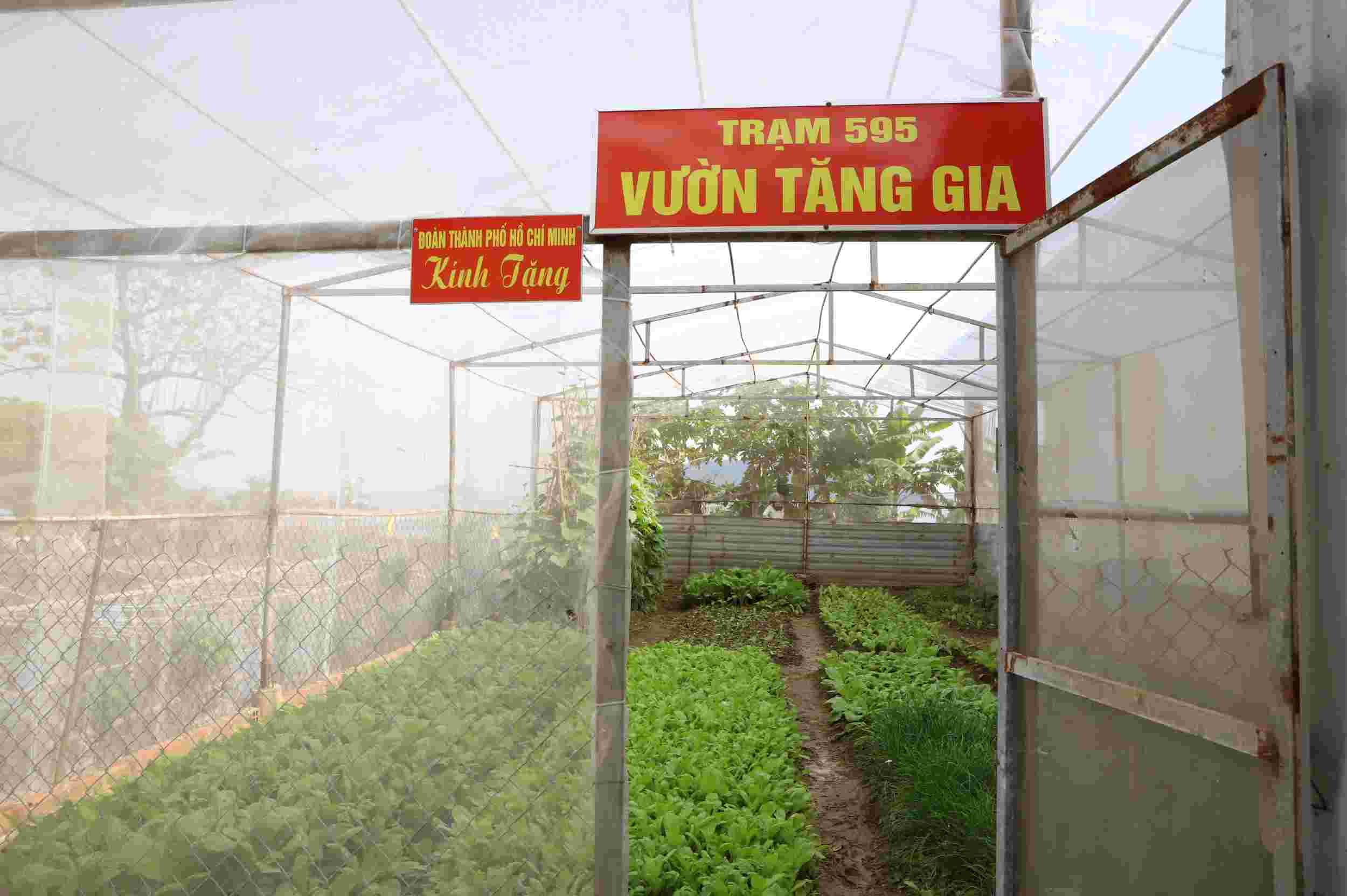 Dù điều kiện khó khăn nhưng Thiếu tá chuyên nghiệp Tống Văn Dũng và các cán bộ, chiến sĩ của Trạm Radar vẫn tận dụng từng khoảng đất để trồng rau xanh và nuôi gà, vịt... Ảnh: TUYẾT LAN