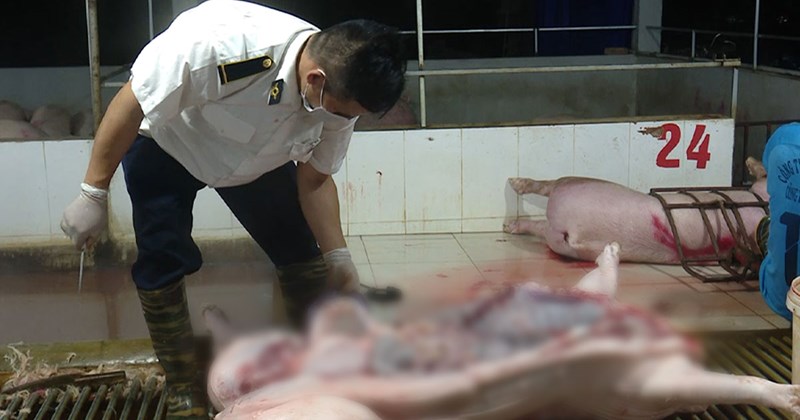 Hà Nội mở rộng mô hình giết mổ tập trung tạm thời