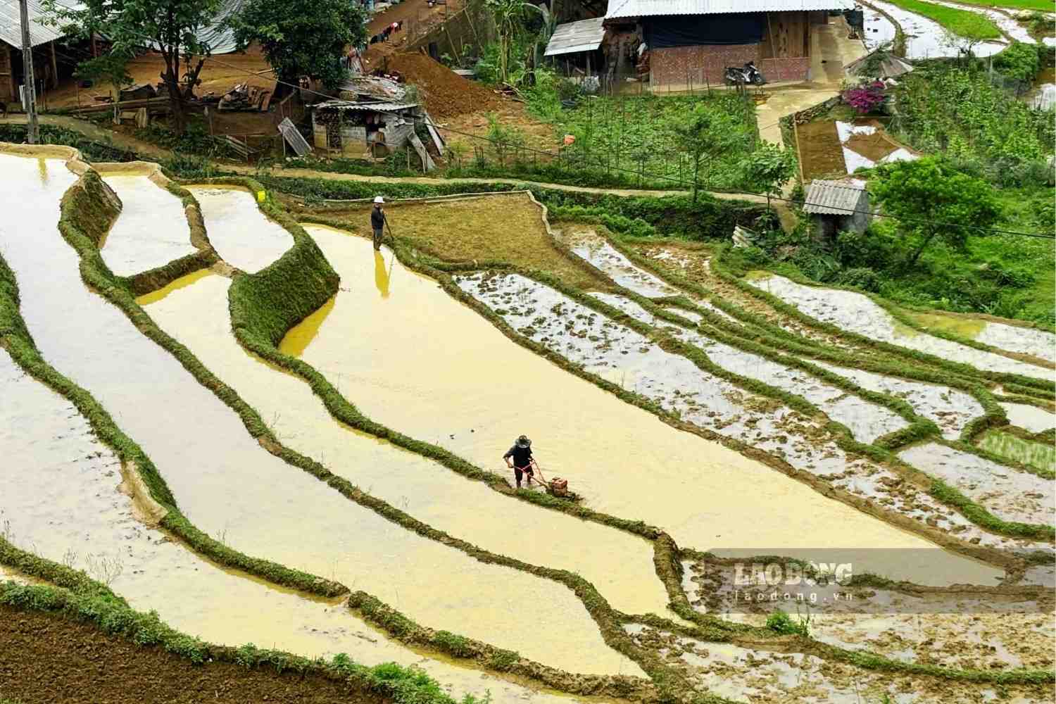 Bản Lao Chải với dòng suối uốn lượn và những ruộng bậc thang như tấm gương khổng lồ. Ảnh: Nguyễn Đạt