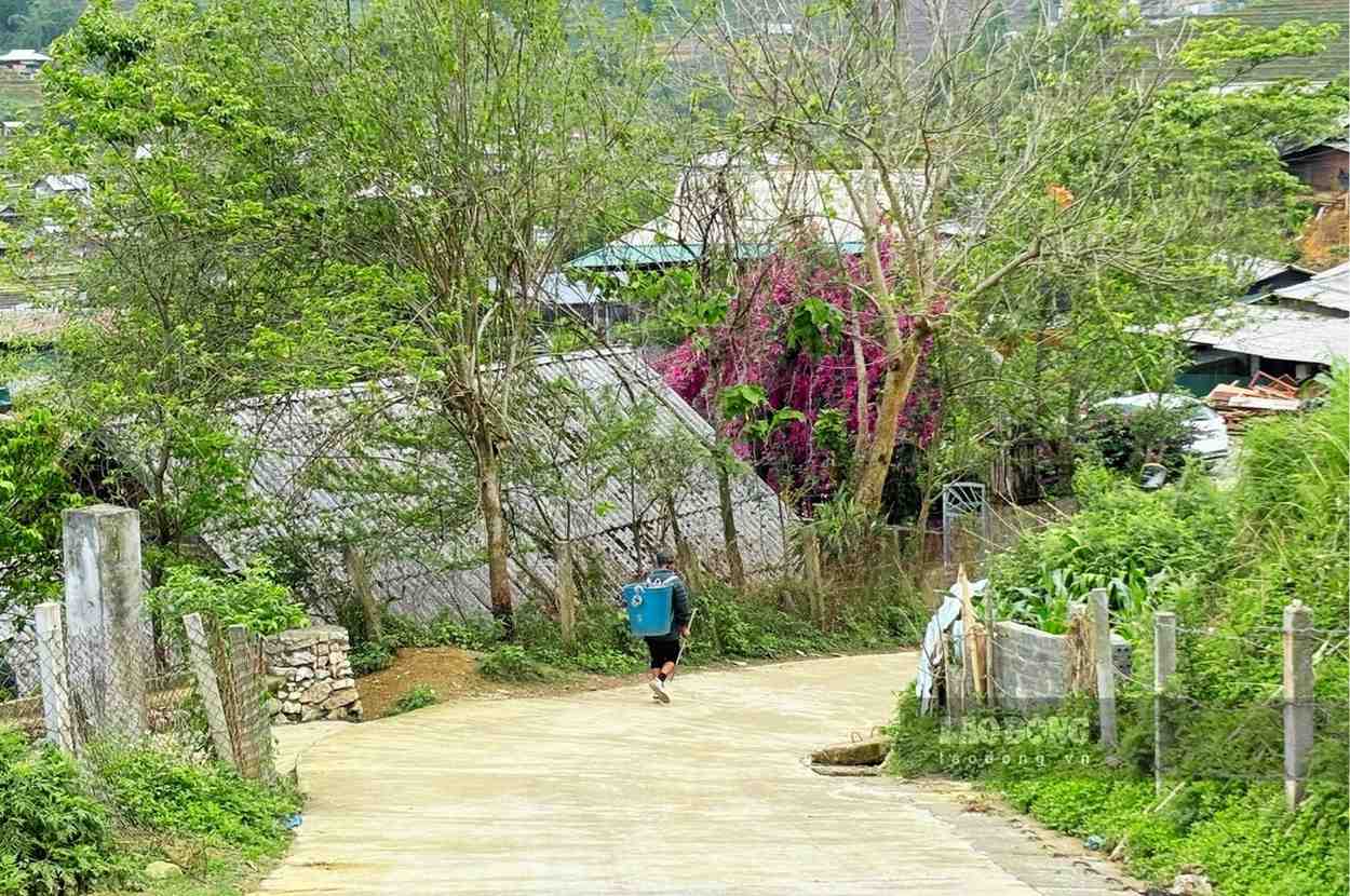 Du khách có thể lựa chọn vào bản để trải nghiệm cuộc sống của người dân vùng cao. Ảnh: Nguyễn Đạt