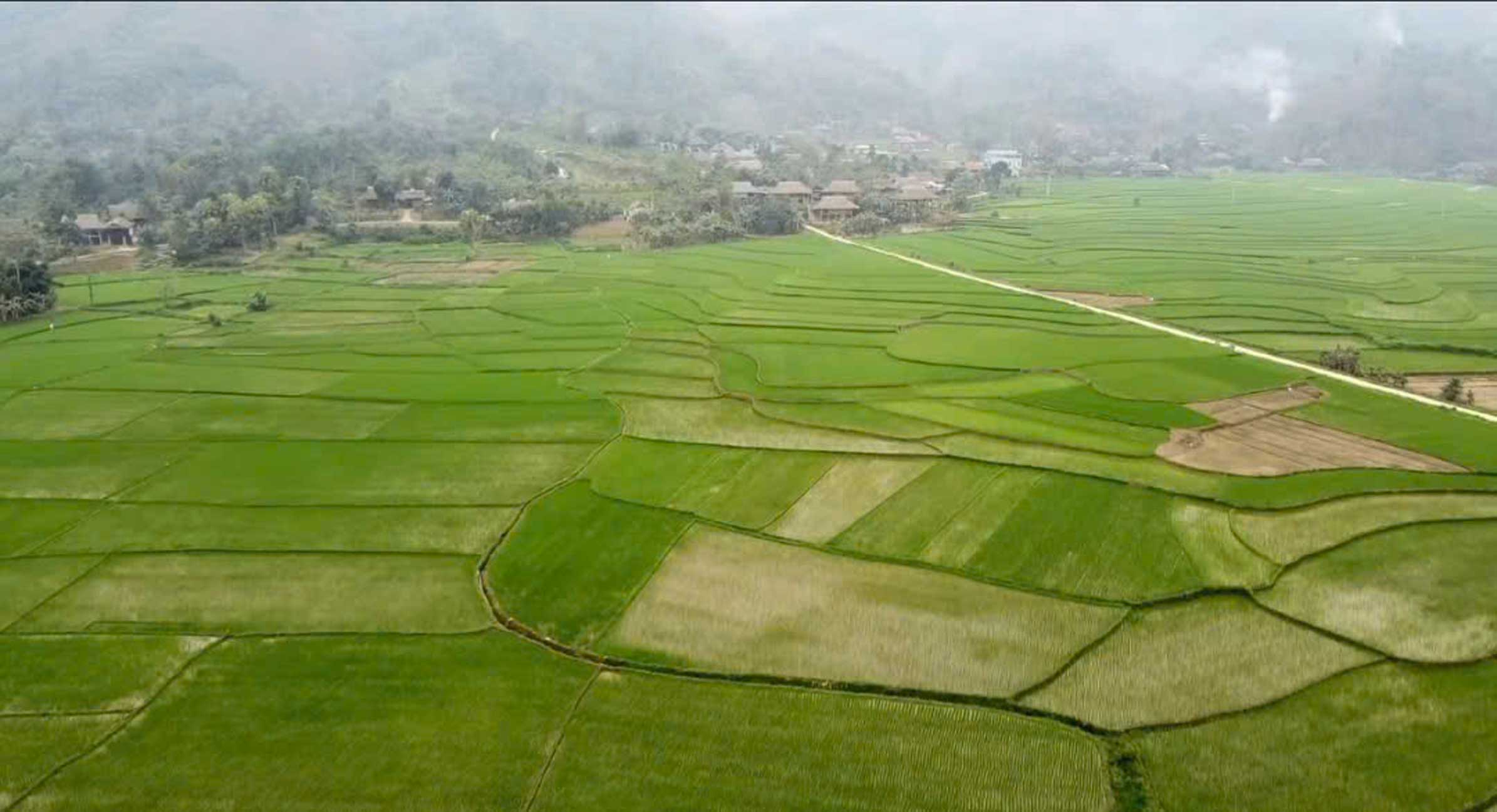 Ruộng đồng Lâm Thượng nhìn từ trên cao, tạo nên cảnh quan đặc trưng thu hút du khách trải nghiệm. Ảnh: Trung tâm Khuyến nông tỉnh Lào Cai