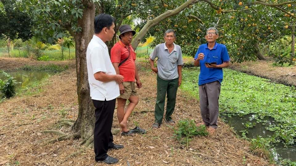 The growing area meets the code standards to meet export requirements to demanding markets. Photo: Hoang Loc