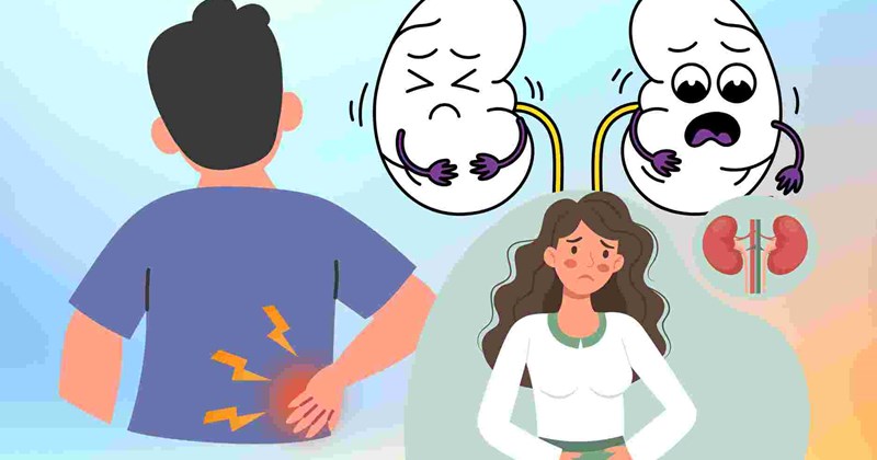 Phân biệt nhanh đau lưng thông thường và đau thận
