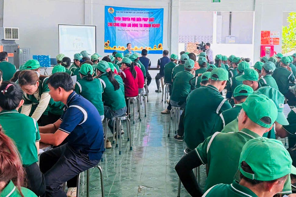 Le syndicat de la province de Gia Lai conseille sur le droit du travail à plus de 150 membres du syndicat et travailleurs de la société à responsabilité limitée Greenwind. Photo: Huy Trang