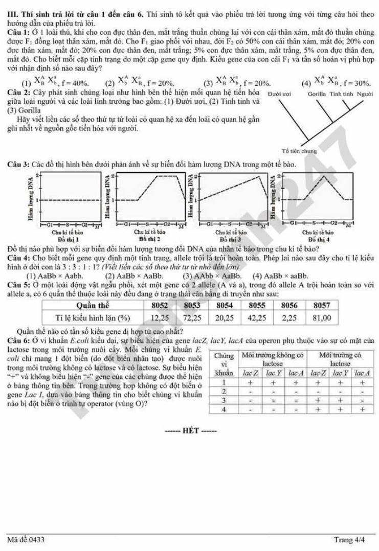 Đề thi thử tốt nghiệp THPT 2026 Sở GDĐT Cà Mau - môn Sinh. Ảnh: Tuyensinh247