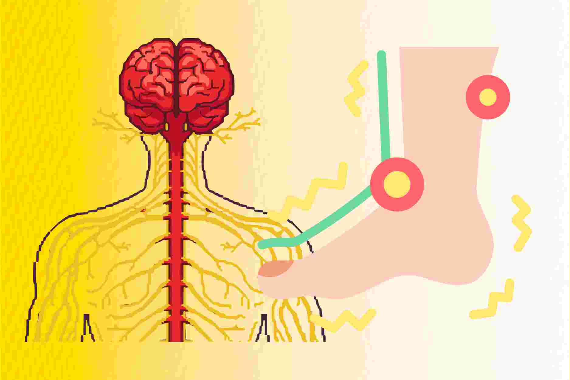 3 signs to help recognize neurological damage early