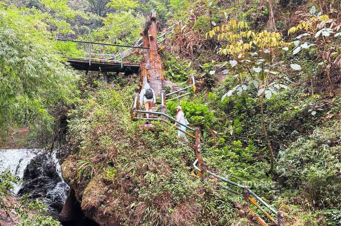 Du khách hòa mình vào thiên nhiên hùng vĩ của đại ngàn. Ảnh: Nguyễn Đạt