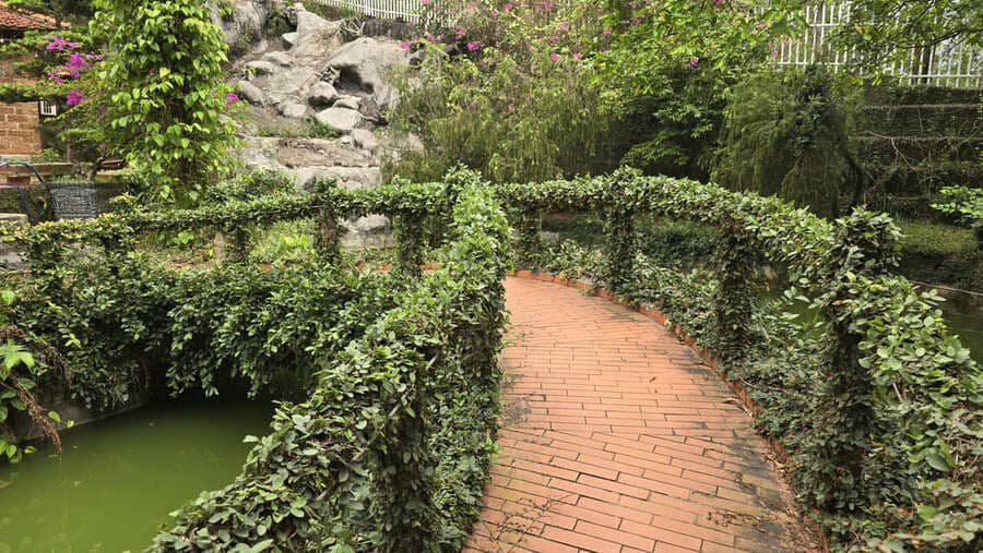 Podar los árboles, limpiar el agua estancada es uno de los consejos para ayudar a prevenir los mosquitos y los insectos. Foto: Tuan Dat