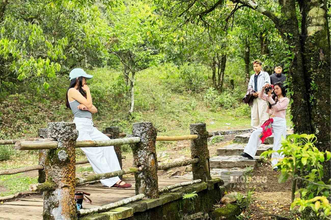 Nhóm bạn trẻ check-in tại vườn quốc gia. Ảnh: Nguyễn Đạt