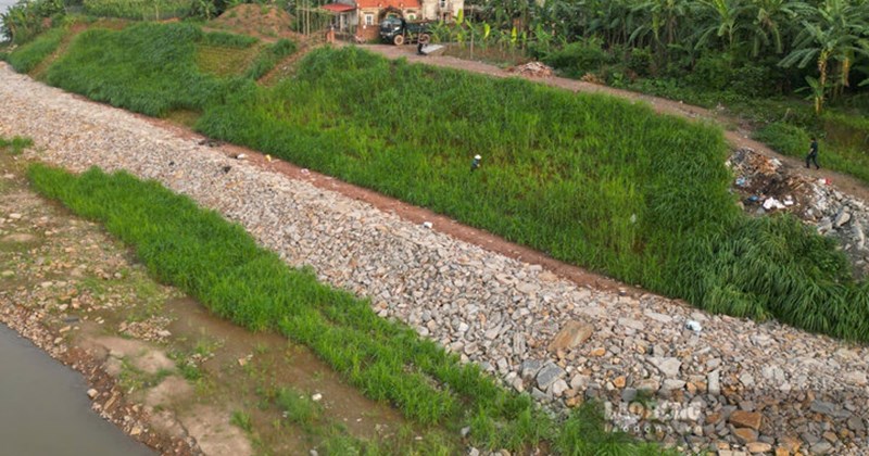 Đê khẩn cấp trên sông Hồng sắp hoàn thành