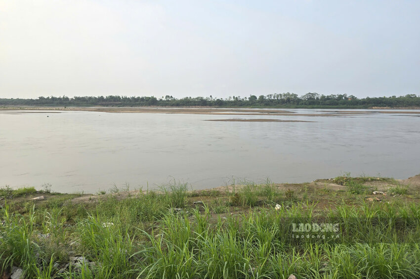 Mực nước sông Hồng đang ở mức cạn, thấp hơn khá nhiều so với tuyến kè. Ảnh: Tô Công